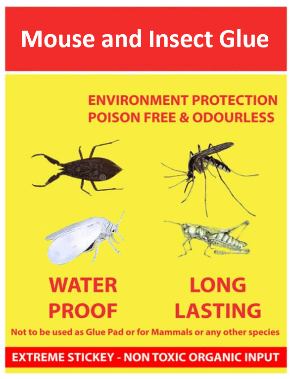 Sticky Insect Glue Trap(Pack of 3)